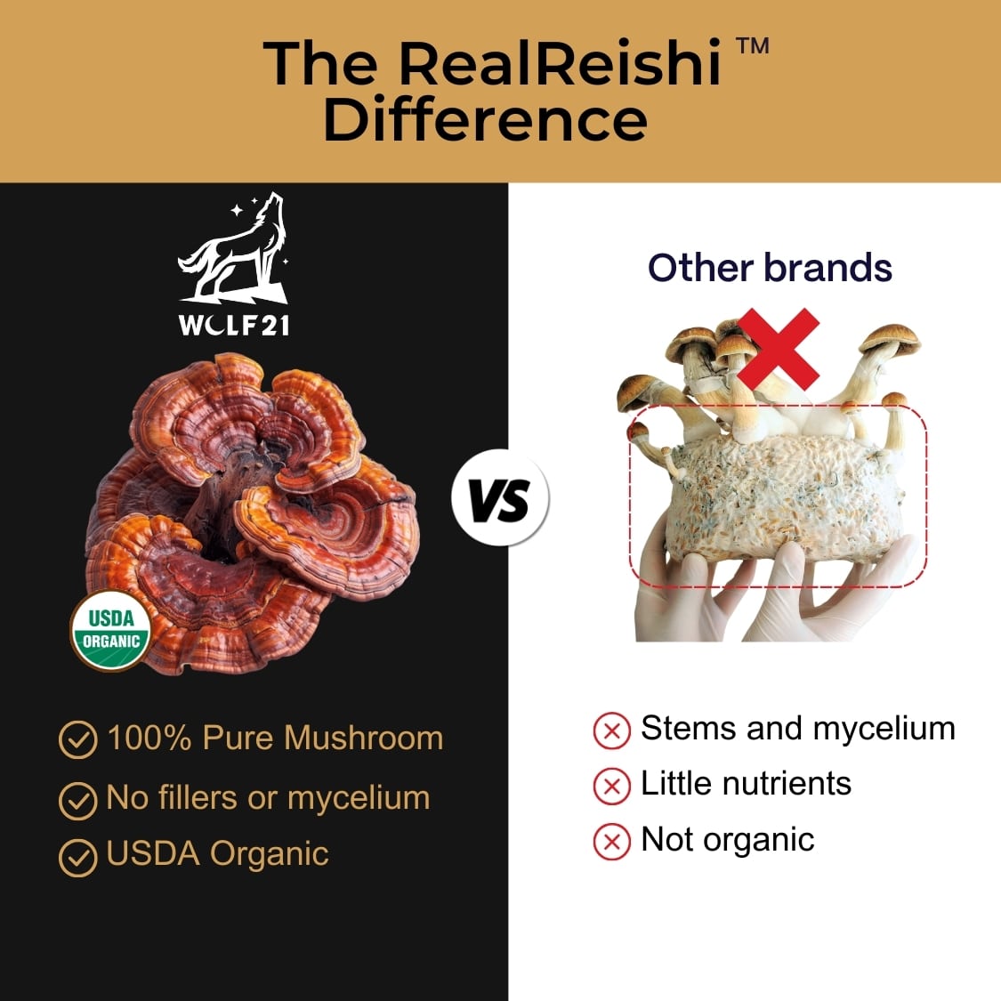 The_Real_Reishi_Difference-min.jpg
