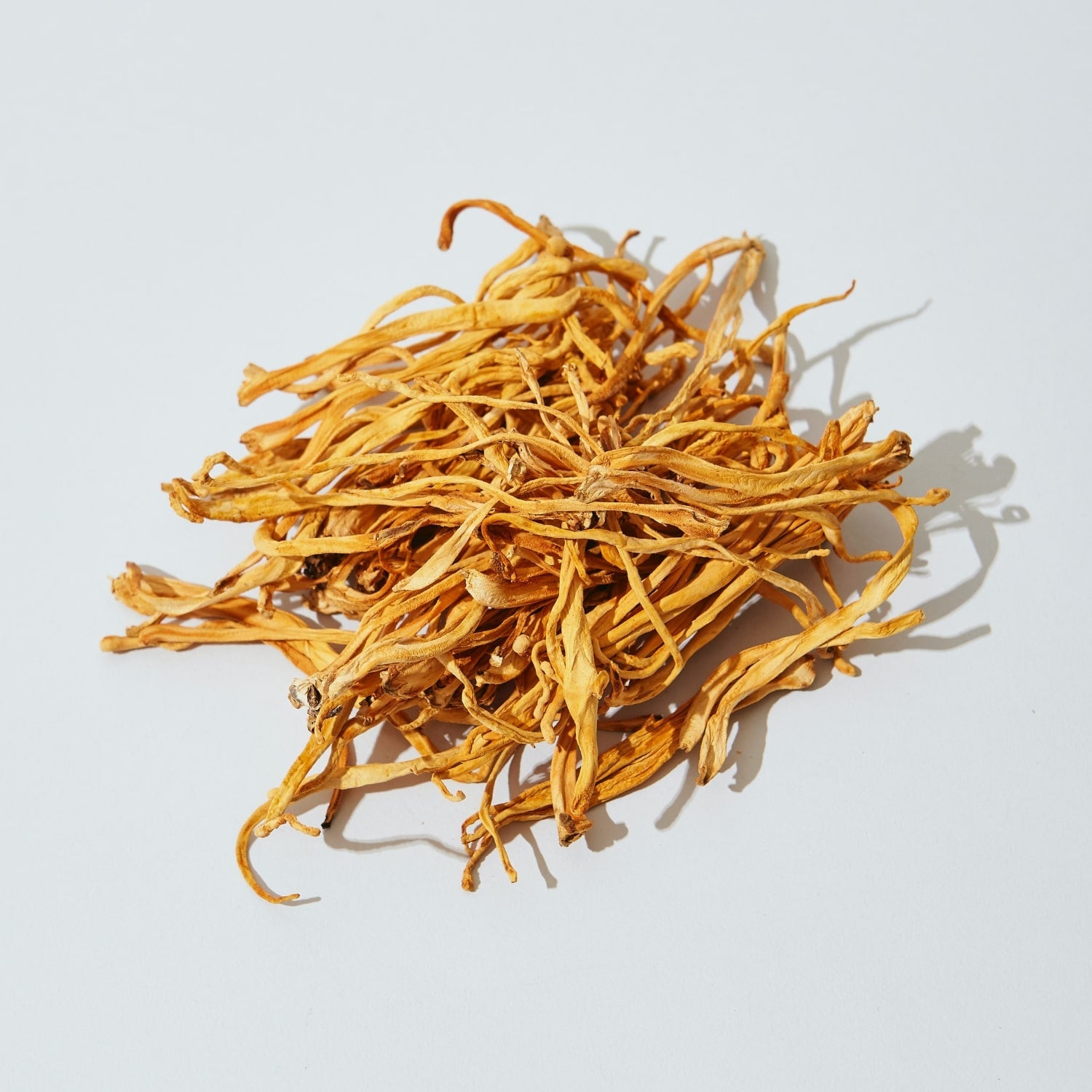 Organic Cordyceps Mushrooms