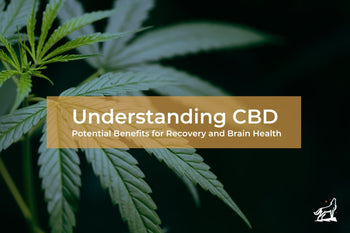 Understanding CBD: Potential Benefits for Recovery and Brain Health